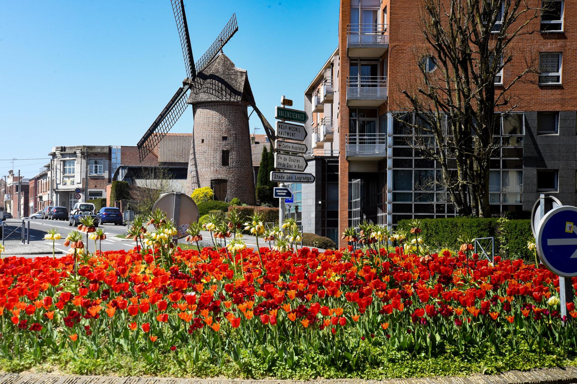 Gel terroir maubeuge surgele livraison chaine du froid